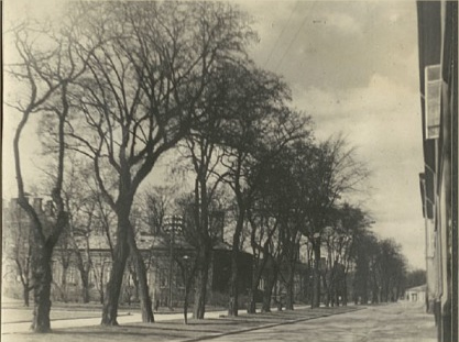 Czarno-białe zdjęcie szerokiej alei, biegnącej wzdłuż historycznego budynku szpitalnego. Wzdłuż alei rosną wysokie drzewa.